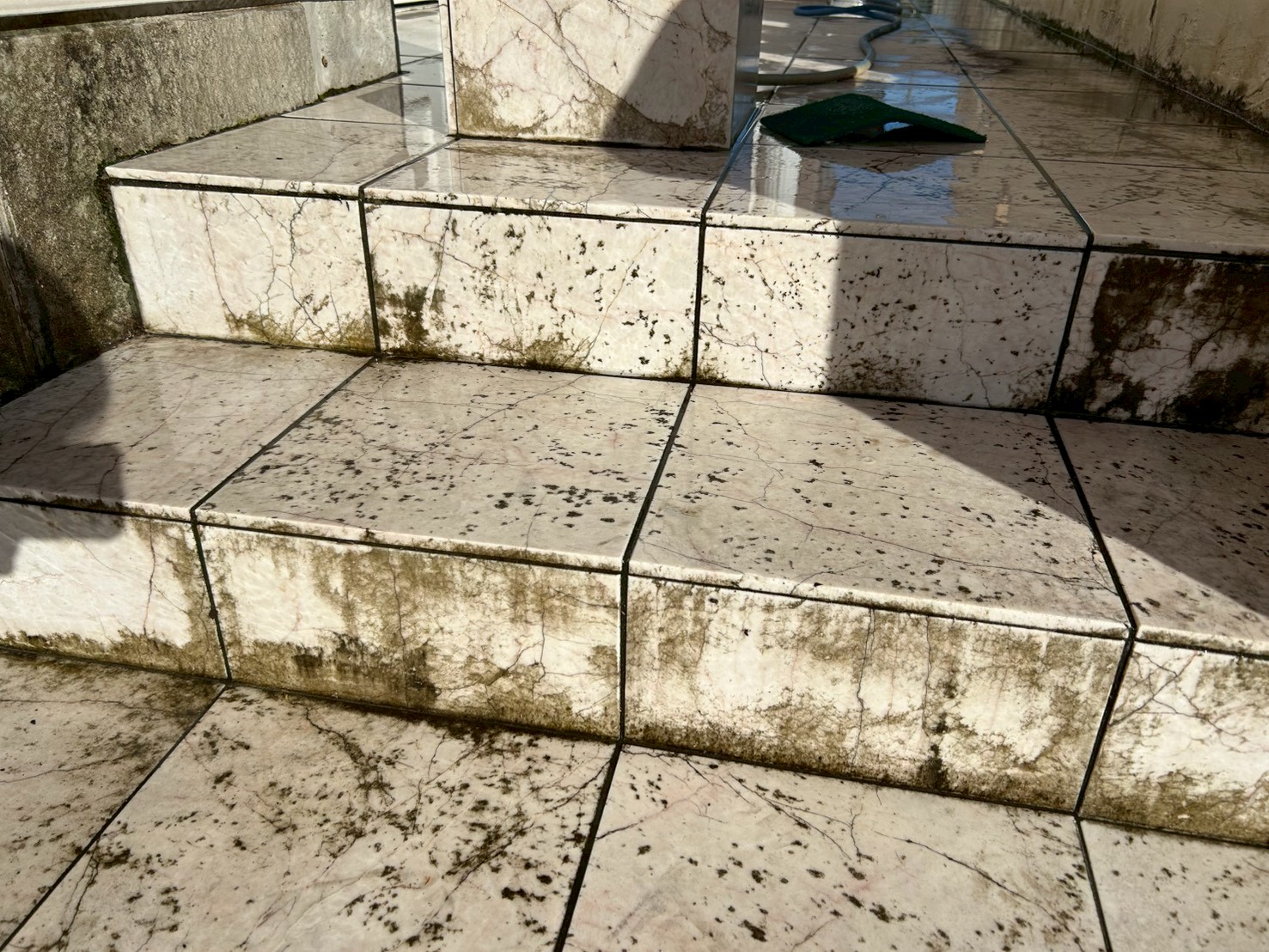 low_bg7