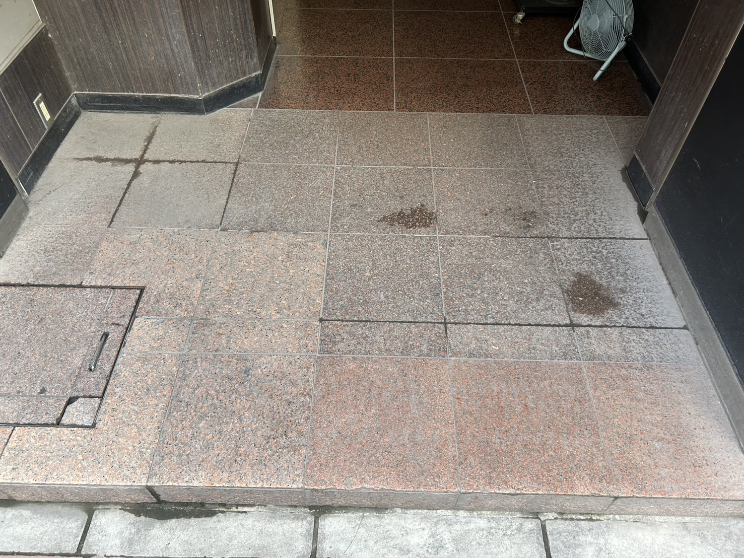 3499605_m